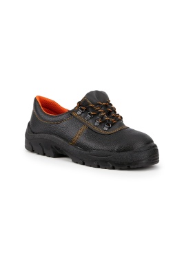 бот008_бот009_а