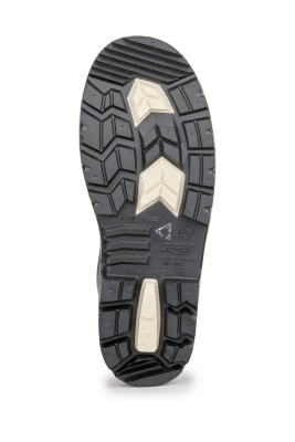 сап801_сап802_Sardonix_г